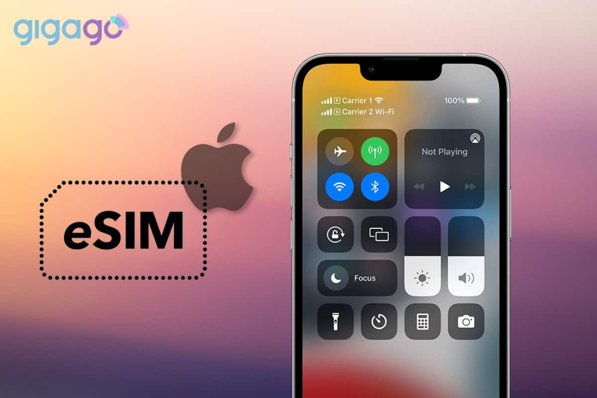 Esim Features