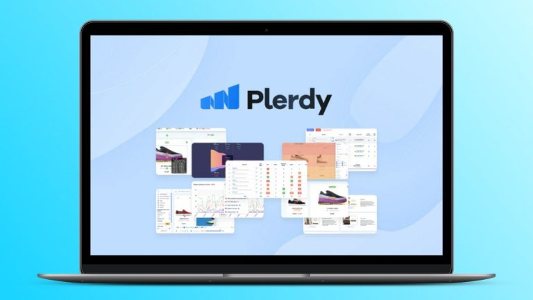 Plerdy Lifetime Deal